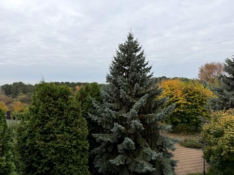 дом по адресу Об'їздна Західна, 9