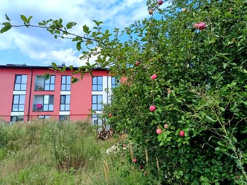 участок по адресу Весенняя ул., 26