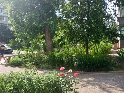 квартира за адресою Лахтинська вул., 11а