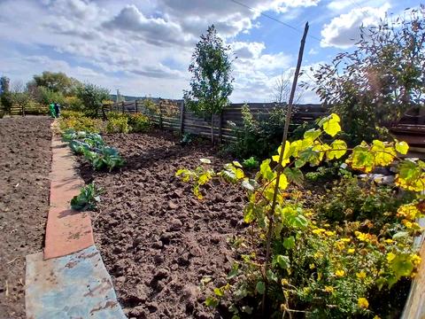 ділянка за адресою 6-та Лінія вул.