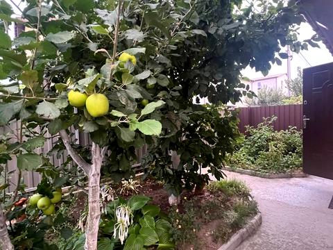 будинок за адресою Овочева, 21