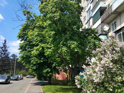 квартира за адресою Мілютенка вул., 46