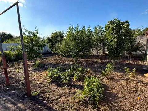дом по адресу Арктическая ул., 3