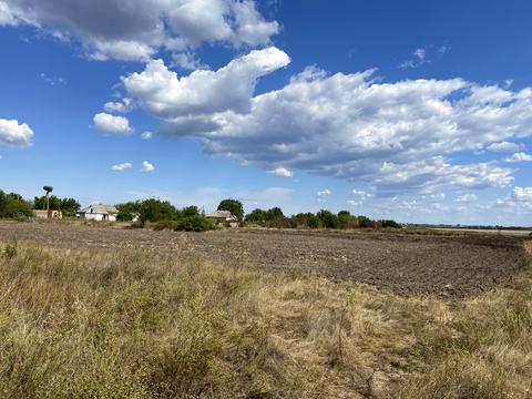 ділянка за адресою с. Орлівщина, Сірова