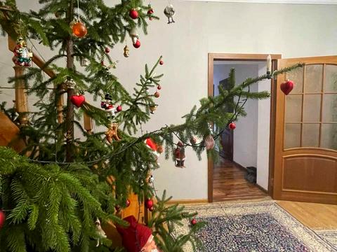 будинок за адресою Архітектора Богданова вул. (Василя Шкляра), 23