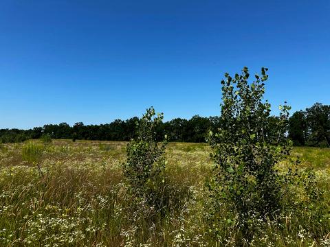 участок по адресу 