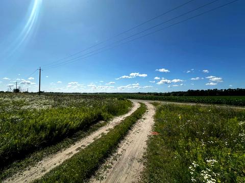 ділянка за адресою Наталії Ужвіст, 42