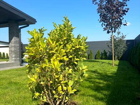 будинок за адресою Миру