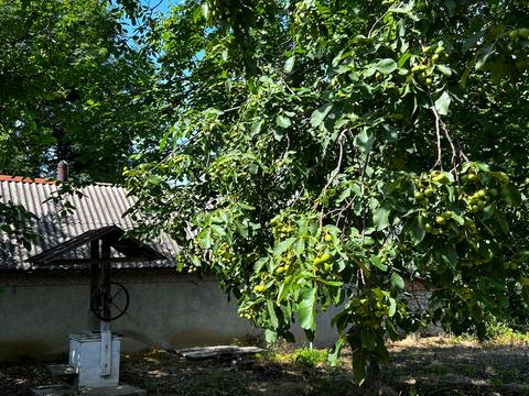 дом по адресу І.Франка