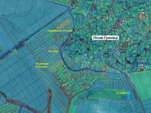 ділянка за адресою Лісові Гринівці, 121