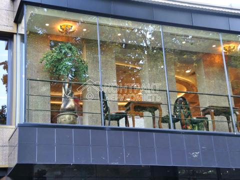 комерційна за адресою Григорія Сковороди вул. (Пушкінська), 79б