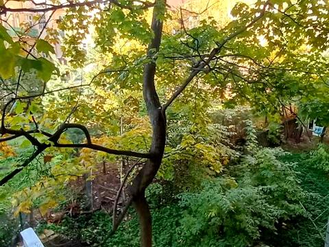 квартира за адресою Генерала Тараса Чупринки вул., 10
