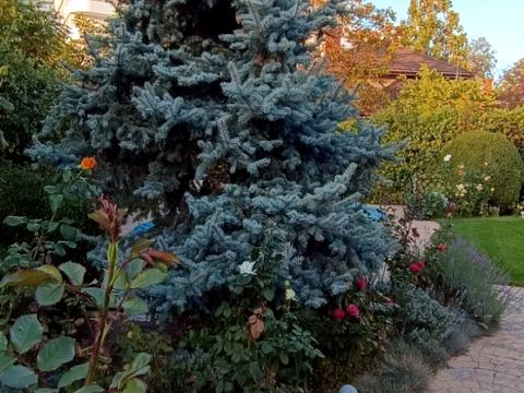 будинок за адресою Дачна вул., 8а