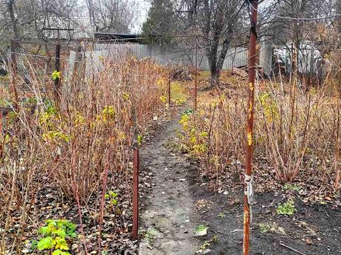 дом по адресу Академика Павлова ул.