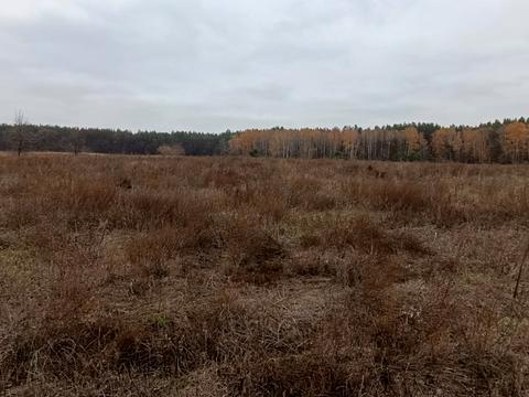 участок по адресу с. Гавриловка, 
