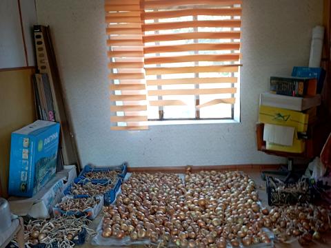 будинок за адресою с. Хвильово-Сорочин, Перемоги