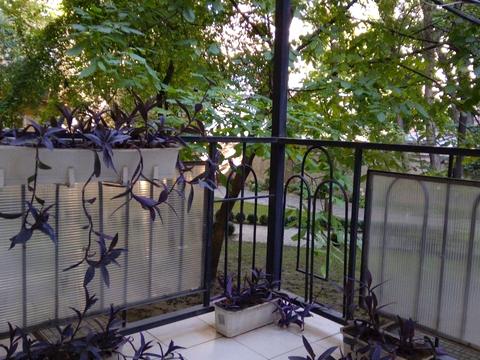 квартира по адресу Маразлиевская ул., 38