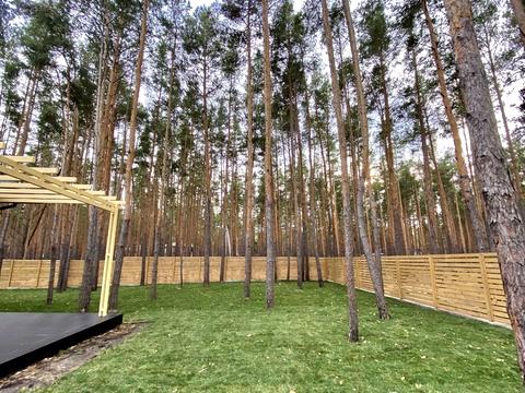 дом по адресу Липківського