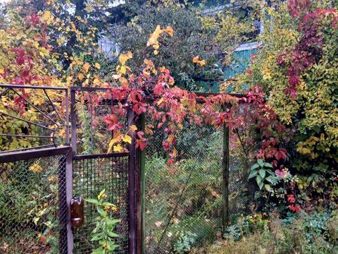 участок по адресу Богатырская ул., 42