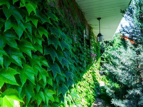 будинок за адресою Озерна вул.