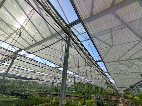 комерційна за адресою Патруса-Карпатського вул., 28
