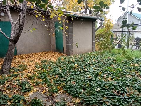 комерційна за адресою Свободи просп., 1