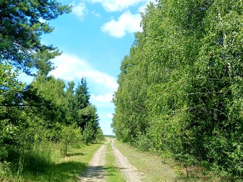 дом по адресу Михаила Грушевского ул.