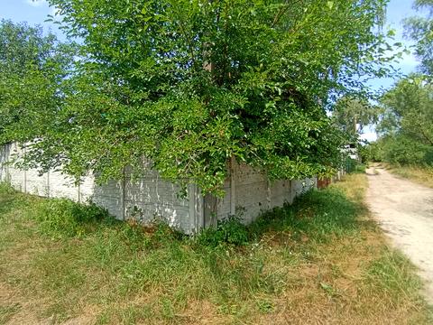 будинок за адресою куща