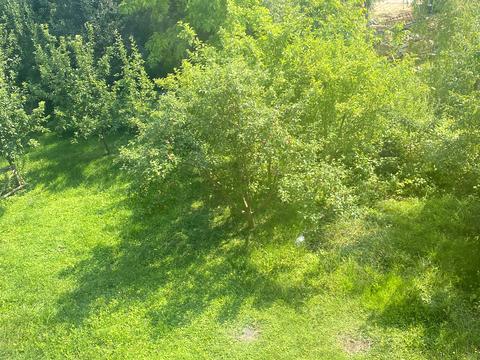 будинок за адресою Лісна вул.