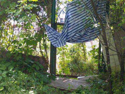 будинок за адресою с. Нова Дофінівка, Курортна, 75