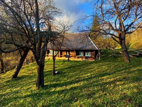 участок по адресу пгт. Верховина, вул. Невестюка