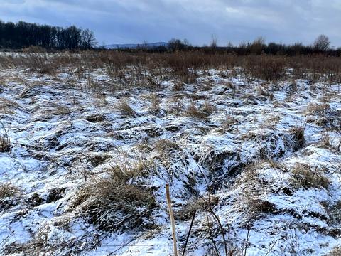участок по адресу старе село
