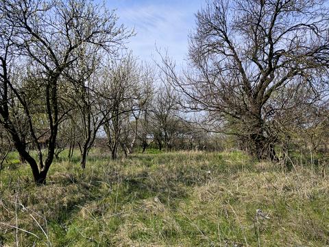 ділянка за адресою Ізумруд садове товариство, 407