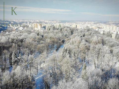 квартира по адресу Липовая Аллея ул., 11