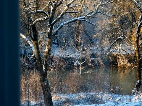 квартира за адресою Фріца Гленца вул., 14