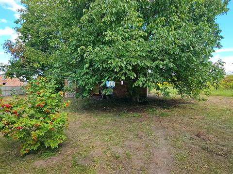 дом по адресу Запорізька