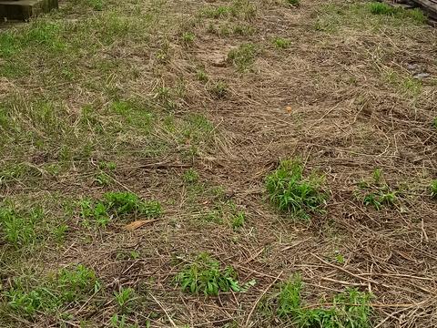 будинок за адресою Куліша вул.