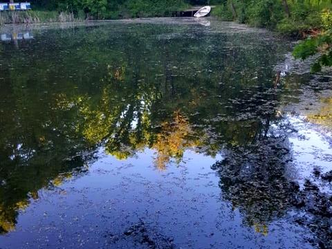 комерційна за адресою Собранецька вул., 2