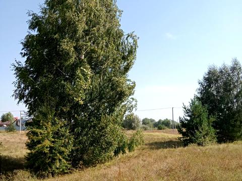 ділянка за адресою вул. Лугова