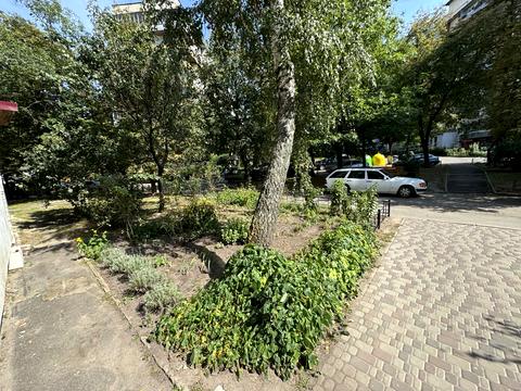 квартира по адресу Чернобыльская ул., 11-А