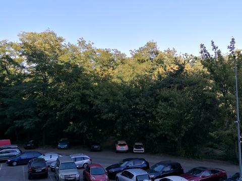 квартира за адресою Академіка Шалімова вул., 69-Б