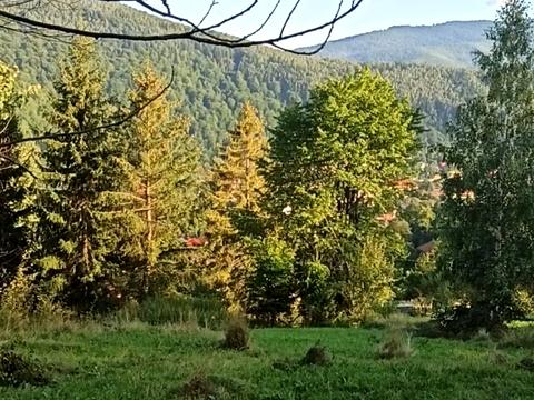 участок по адресу Любомира Гузара ул. (Пушкіна)