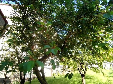 дом по адресу Атаманюка ул.