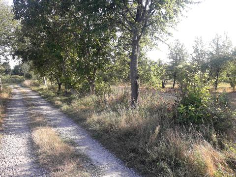 ділянка за адресою Привокзальна