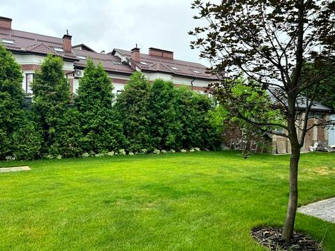 будинок за адресою Прорізна, 41