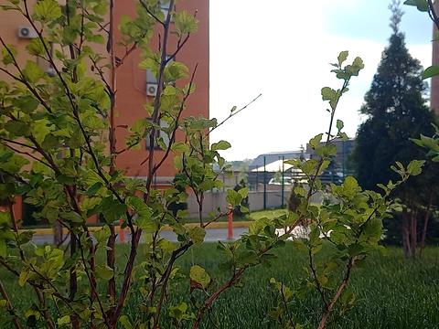 квартира за адресою Запорізьке шосе, 28