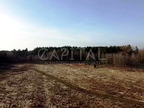 участок по адресу свободи