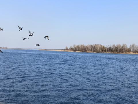 квартира по адресу Юности , 11