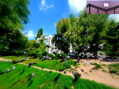 квартира за адресою Самійла Кішки вул. (Маршала Конєва), 10/1