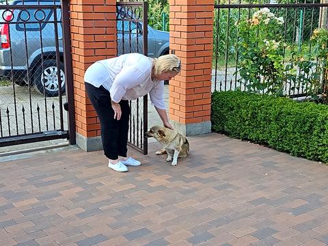 дом по адресу Бакумівка
